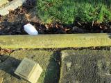image of grave number 365045